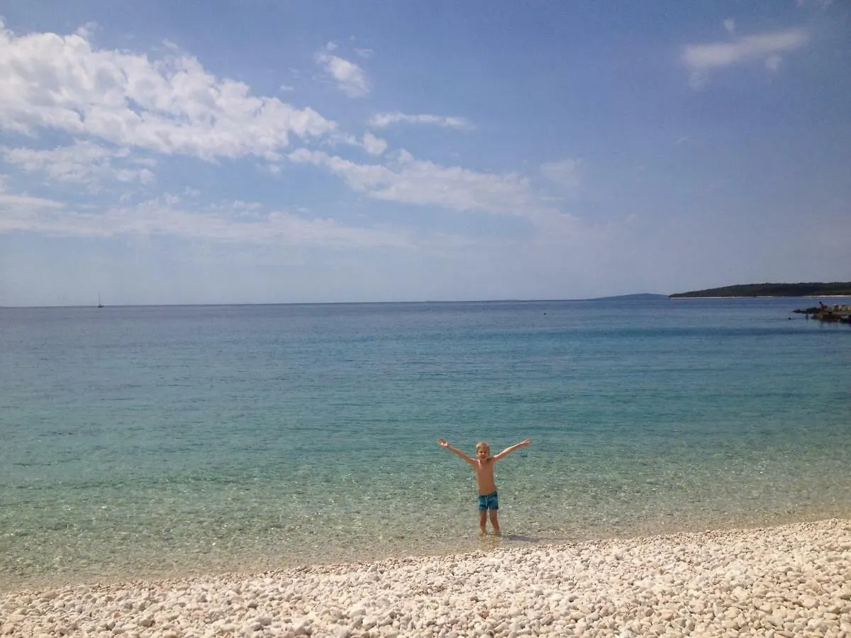 Holiday home Jelkin Dvorac Villa Silba
