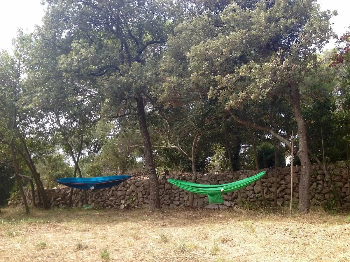 Jelkin Dvorac Villa Silba Croatia